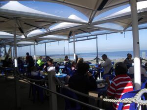 Heavy Duty Patio Umbrella for Wind: Built for Strength, Style, and All-Weather Protection